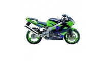 Buy 2002-2003 Kawasaki ZX9R Fairings UK