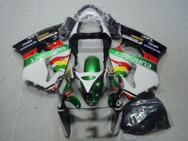 Buy 2000-2002 Kawasaki ZX6R Motorcycle Fairings - White Green Red Yellow Black Star EuroBet UK