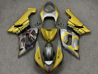 Buy 2005-2006 Kawasaki ZX6R Motorcycle Fairings - Gold Silver UK