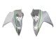 2015-2022 Kawasaki Ninja H2 Motorcycle Fairings - White Silver Green UK