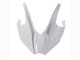 2015-2022 Kawasaki Ninja H2 Motorcycle Fairings - White Silver Green UK