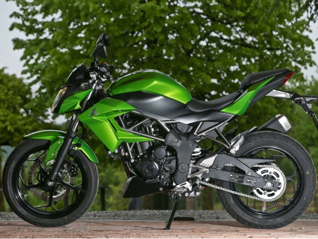 2015-2016 Kawasaki Z250/Z300 Motorcycle Fairings - Green Matte Black UK