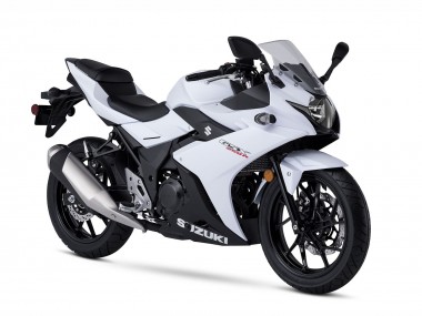 Buy 2017-2020 Suzuki GSX250R Motorcycle Fairing Kits - White Black UK