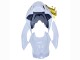 2019-2022 BMW S1000RR Motorcycle Fairings - White Gold UK
