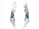 2015-2016 BMW S1000RR Motorcycle Fairings - White Green Black UK