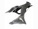 2023-2025 Kawasaki ZX6R Motorcycle Fairings - Grey Ninja UK