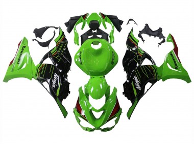Buy 2023-2025 Kawasaki ZX6R Motorcycle Fairings - Green Black UK
