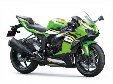 Buy 2023-2025 Kawasaki ZX6R Motorcycle Fairings - Green White Black Ninja UK