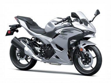 Buy 2024-2025 Kawasaki Ninja 500 EX500R Motorcycle Fairings - Metallic Silver Ninja UK