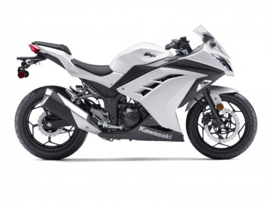 Buy 2013-2017 Kawasaki EX300 Motorcycle Fairings - White Black UK