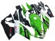 2006-2011 Aprilia RS125 Motorcycle Fairing - Green White Black UK