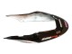 2004-2007 Honda CBR600 F4i Motorcycle Fairings - White Glossy Black Red Repsol UK