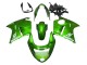 1996-2007 Honda CBR1100XX Blackbird Motorcycle Fairing - Green UK