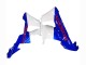 2000-2001 Honda CBR900RR 929 Motorcycle Fairings - White Blue Red HRC UK