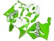 1996-2003 Kawasaki ZX7R Motorcycle Fairings - White Green UK