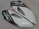 2004-2005 Honda CBR1000RR Motorcycle Fairings - White Blue Red Glossy Black Star Carrera Lee UK