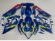 2005-2006 Suzuki GSXR 1000 Motorcycle Fairings - Blue Yellow Red Motul Ecstar UK