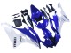 2006-2007 Yamaha YZF 600 R6 Motorcycle Fairings - White Blue Black UK