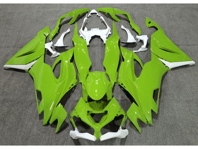 Gloss Green & White 19-23 ZX6R Motorcycle Fairing Gloss Green & White 19-23 ZX6R Motorcycle Fairing